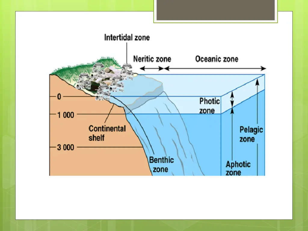 slide6