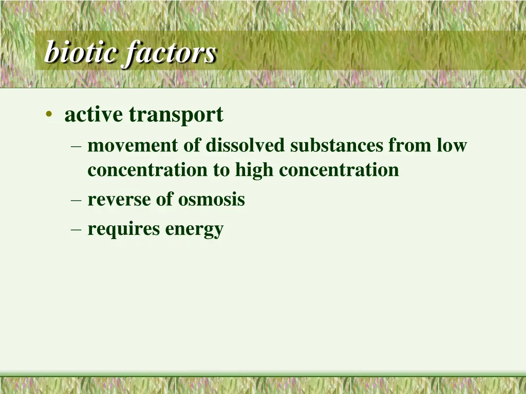 biotic factors 2