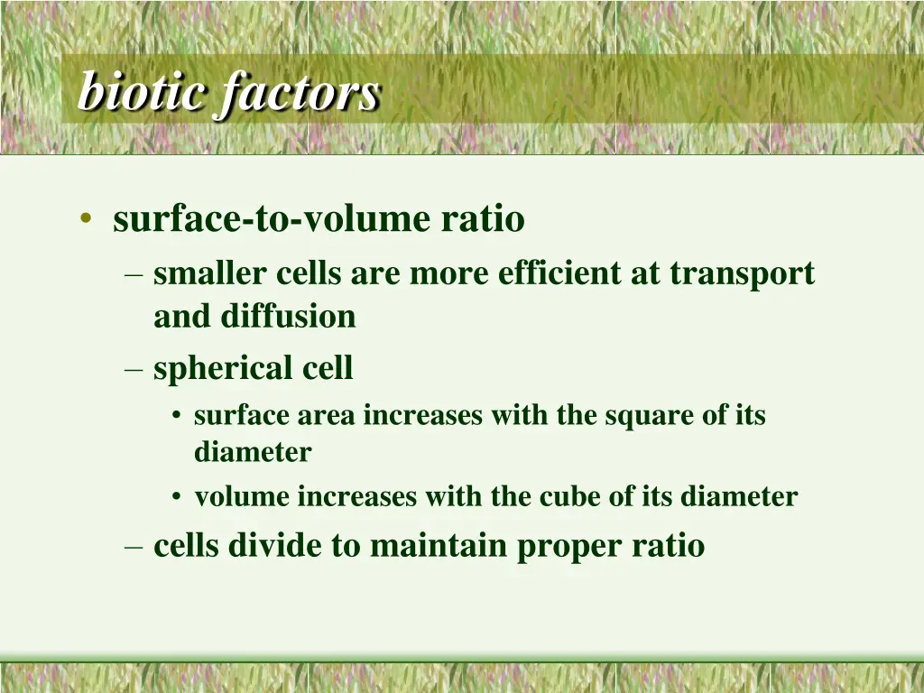 biotic factors 3