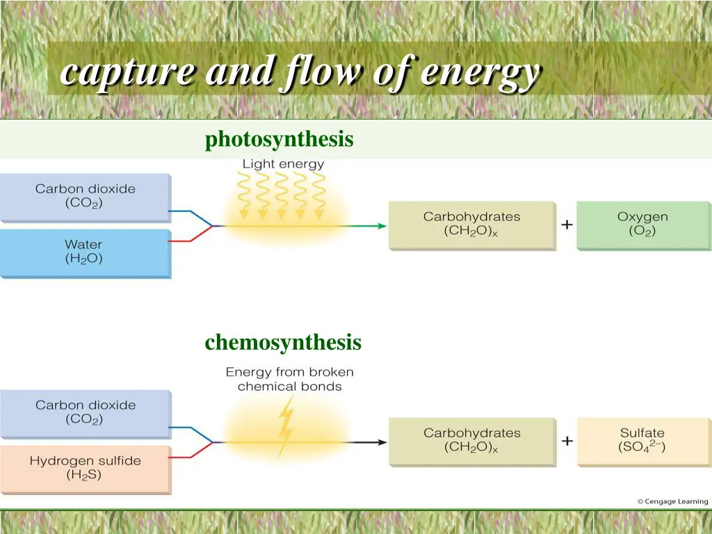 capture and flow of energy 1