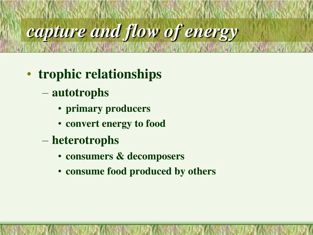 capture and flow of energy 2