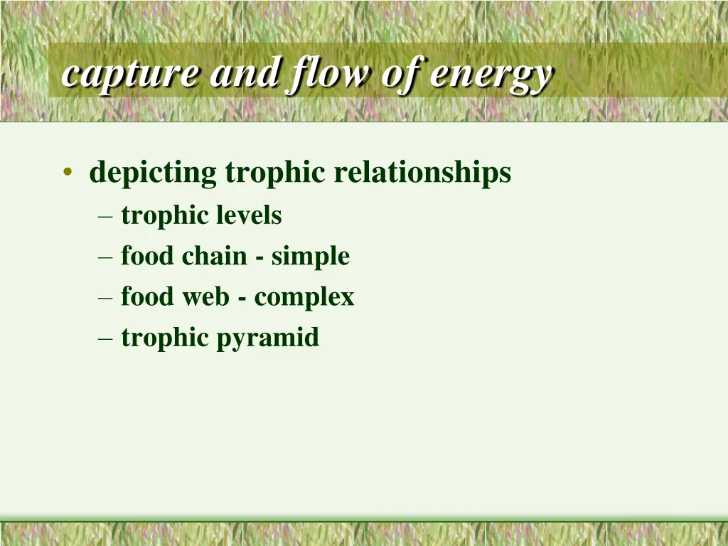 capture and flow of energy 3