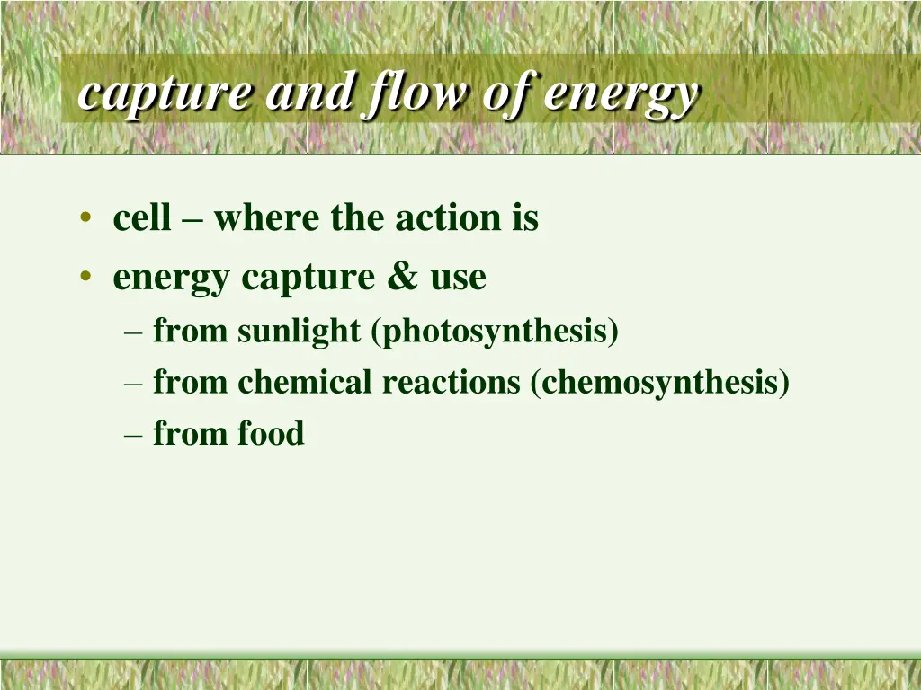 capture and flow of energy