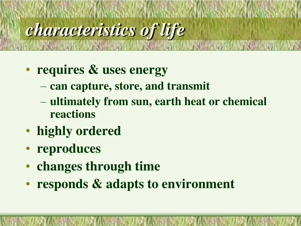 characteristics of life