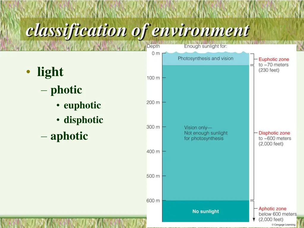 classification of environment