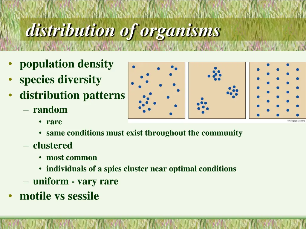 distribution of organisms