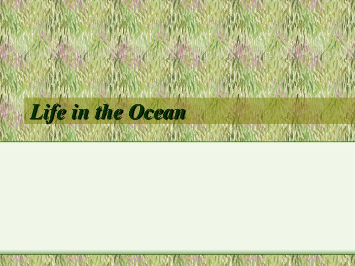 life in the ocean