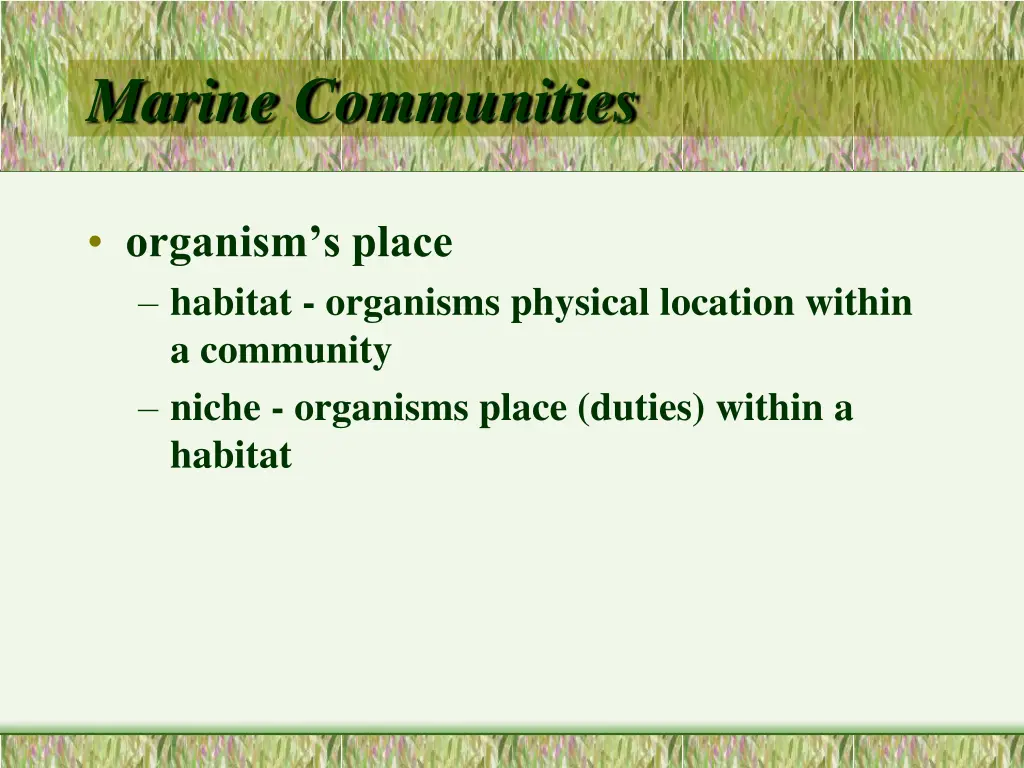 marine communities 1
