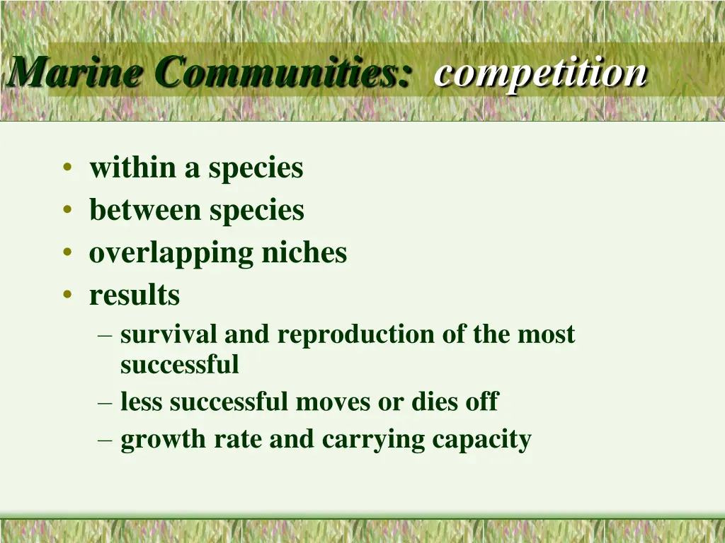 marine communities competition