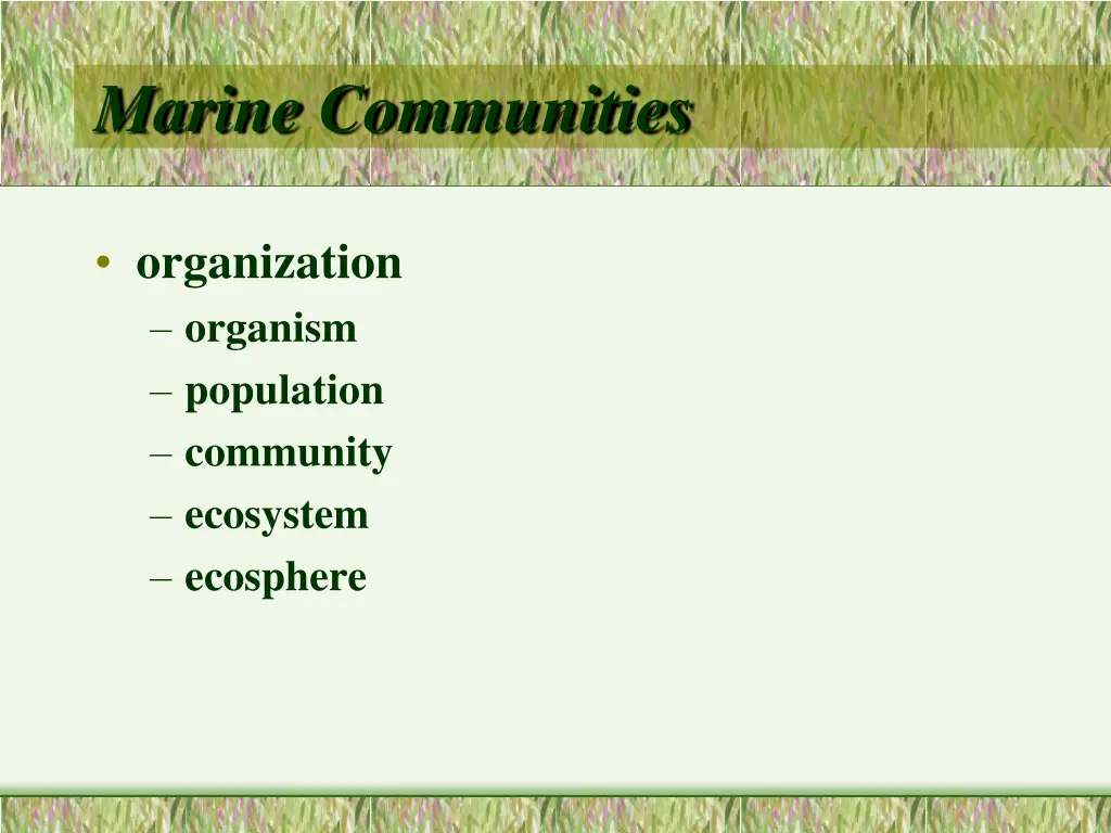 marine communities