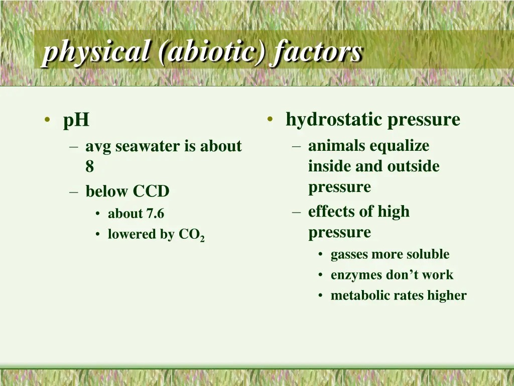 physical abiotic factors 2