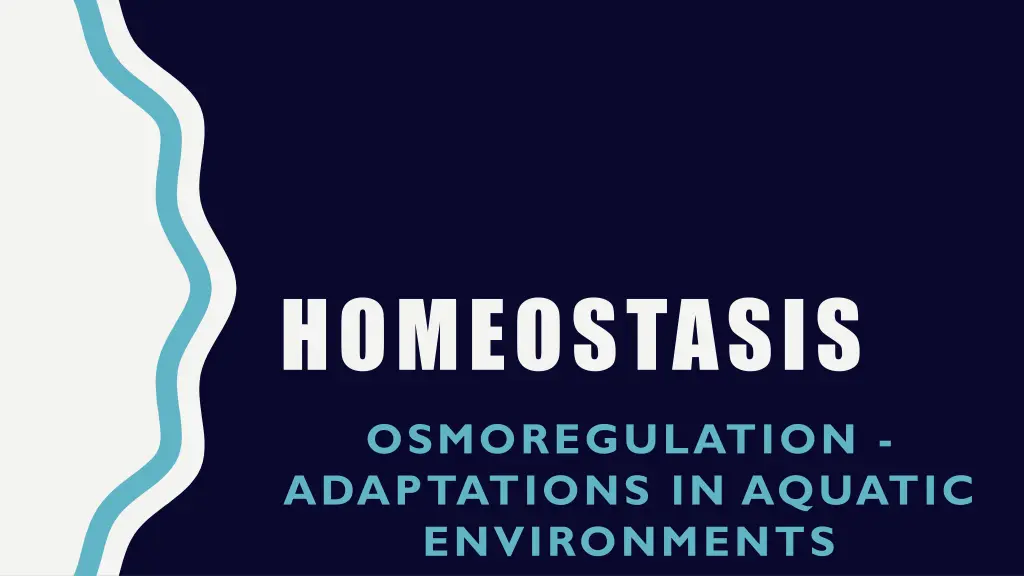 homeostasis 1