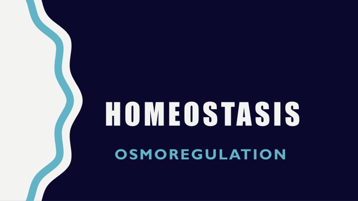 homeostasis