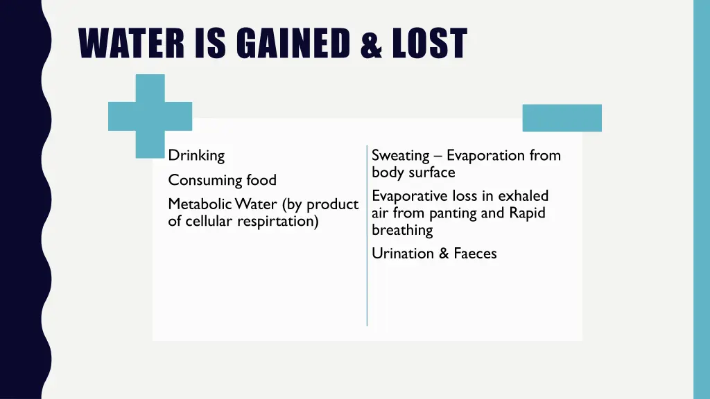 water is gained lost