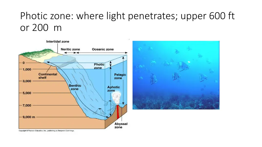 photic zone where light penetrates upper