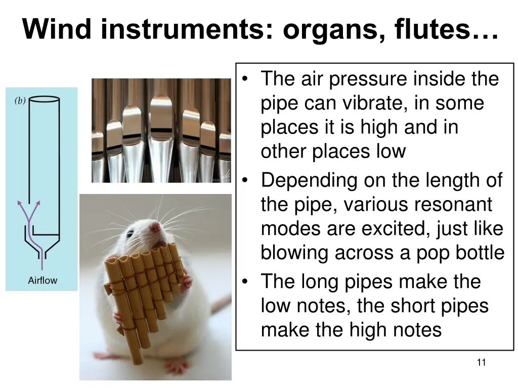 wind instruments organs flutes