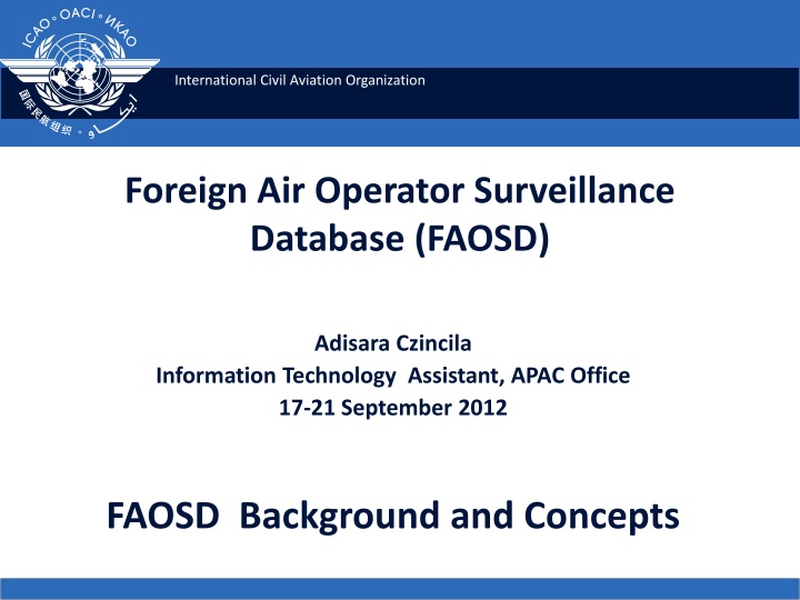 international civil aviation organization