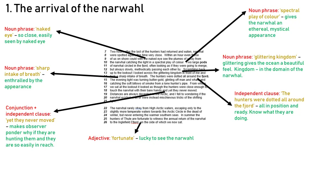 1 the arrival of the narwahl
