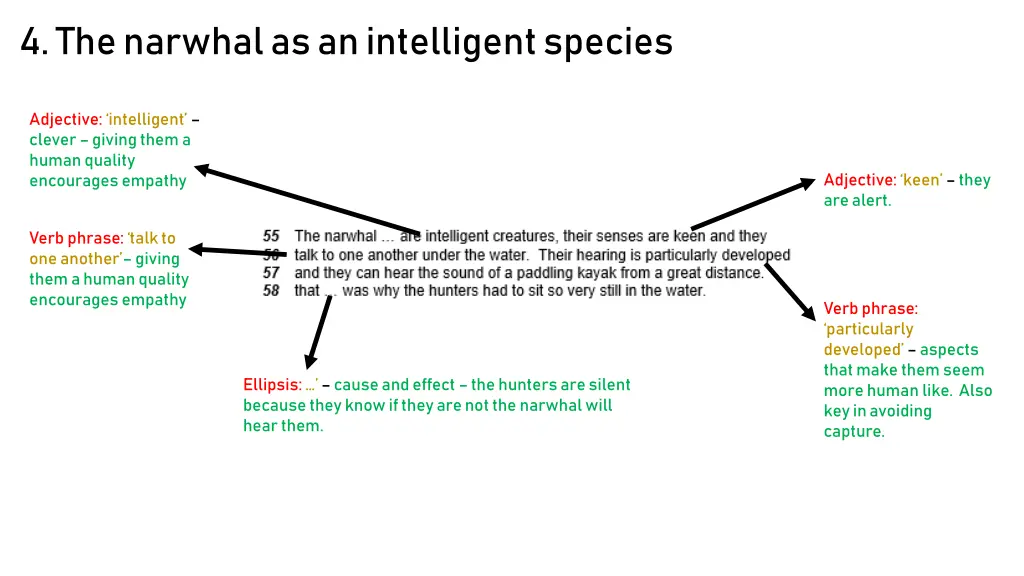 4 the narwhal as an intelligent species