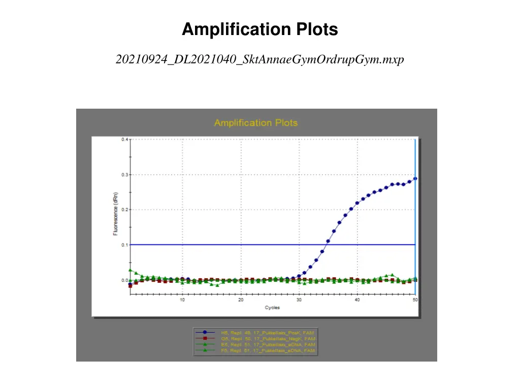 amplification plots 16