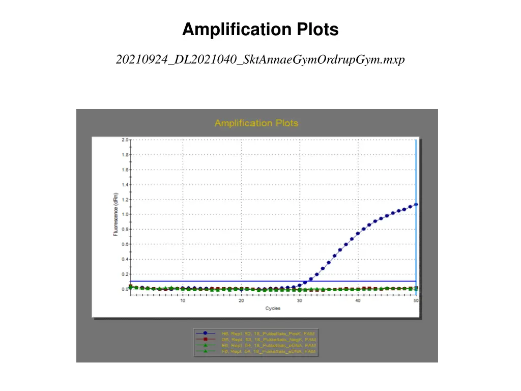 amplification plots 17