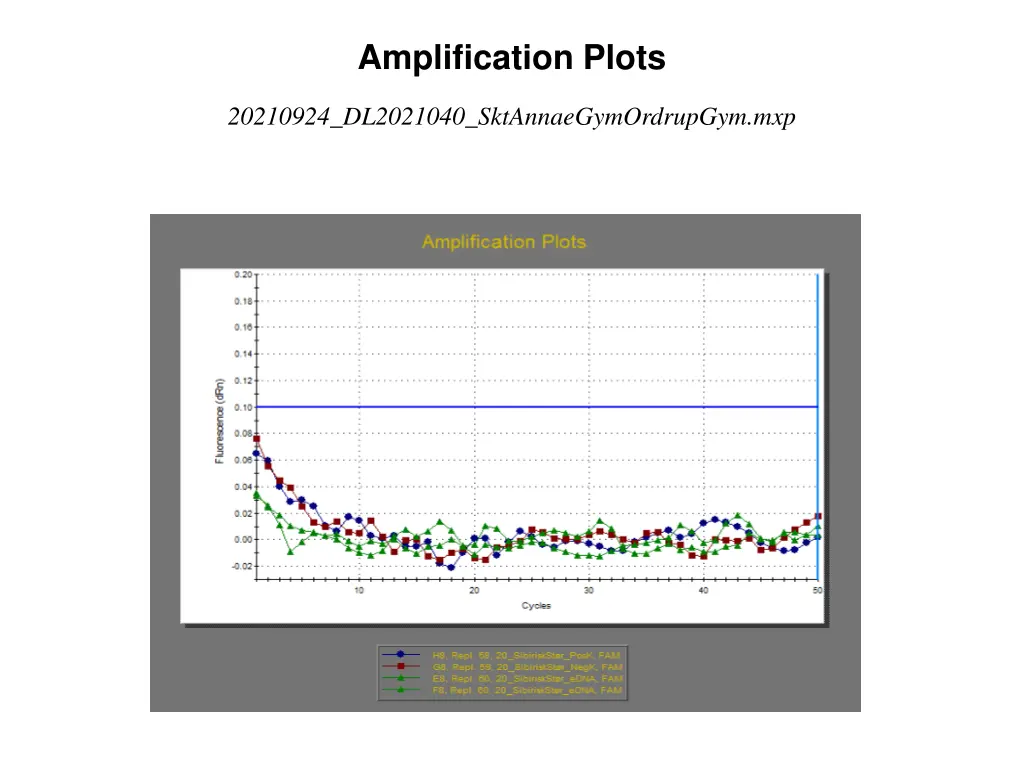 amplification plots 19