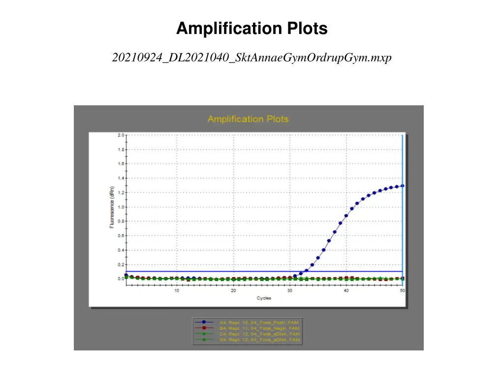 amplification plots 3