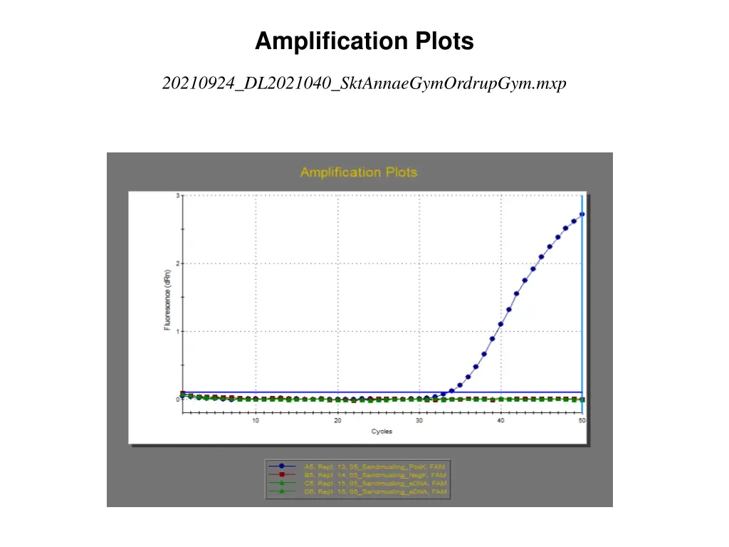 amplification plots 4