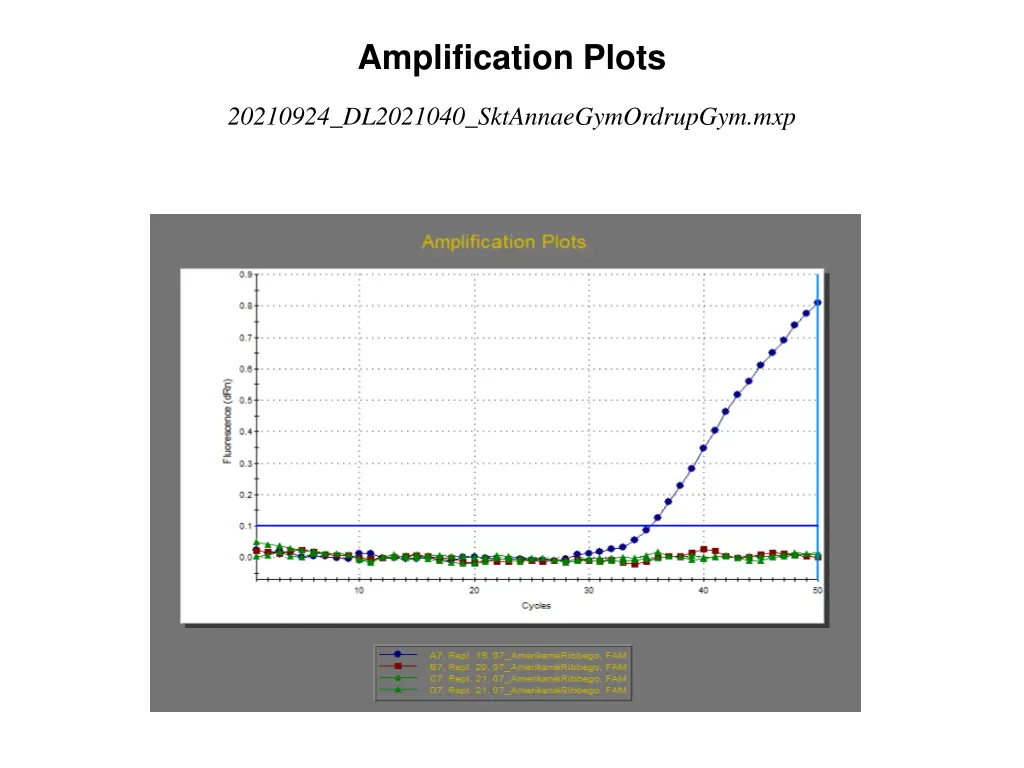 amplification plots 6