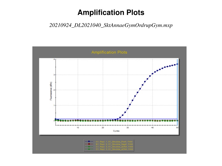 amplification plots
