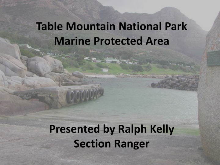table mountain national park marine protected area