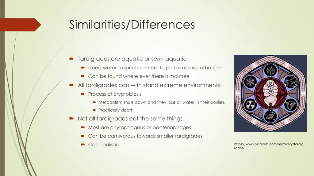 similarities differences