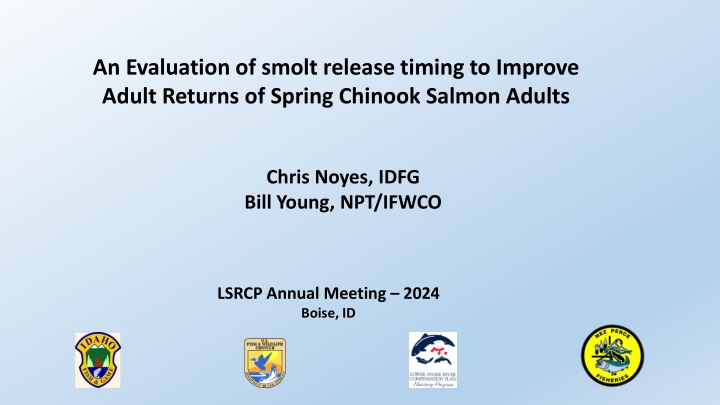 an evaluation of smolt release timing to improve