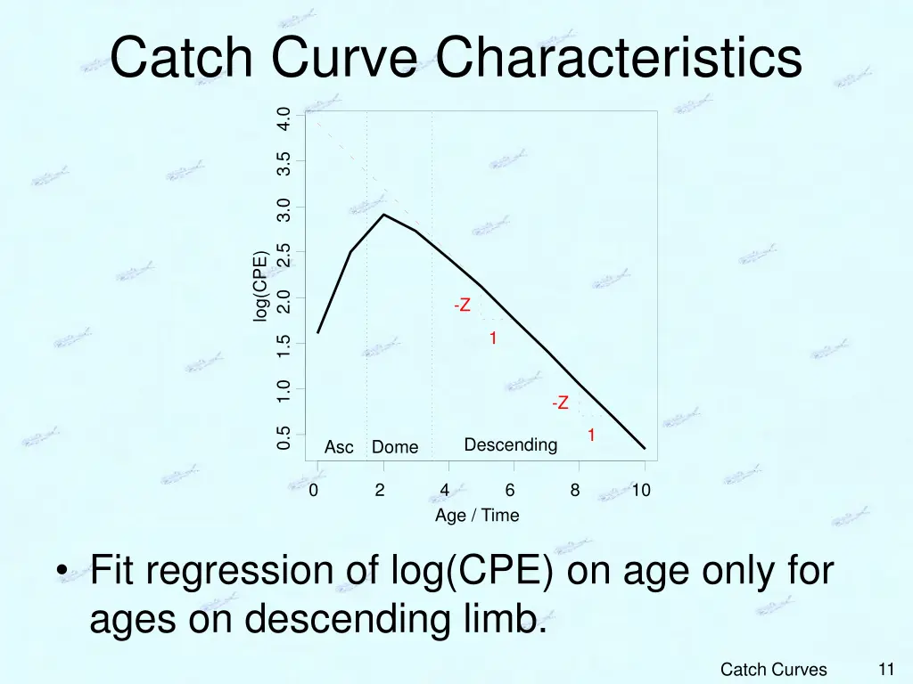 catch curve characteristics