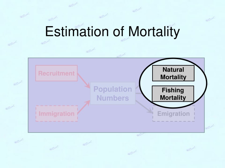 estimation of mortality