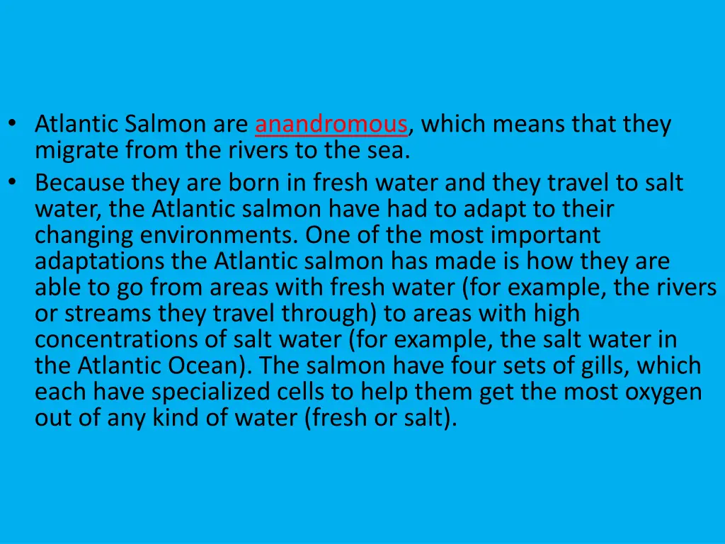 atlantic salmon are anandromous which means that