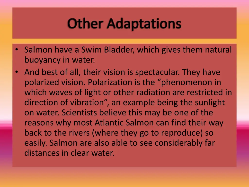 other adaptations