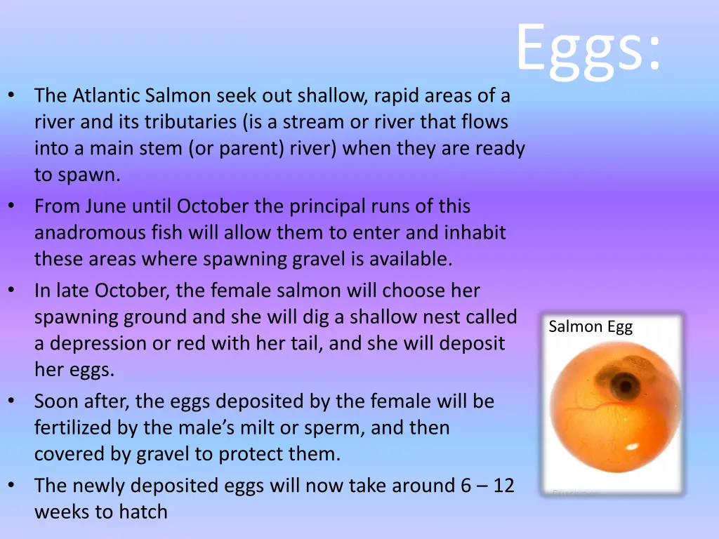 slide3