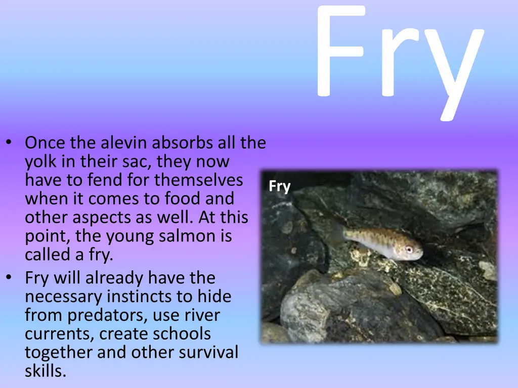 slide5