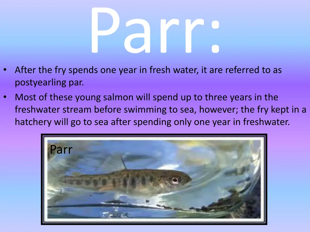 slide6