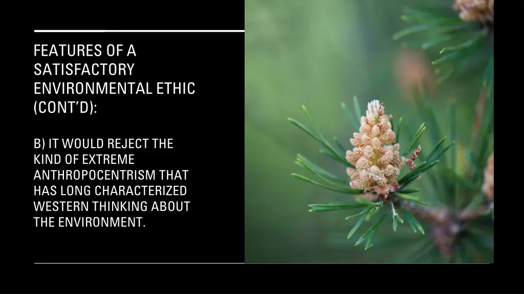 features of a satisfactory environmental ethic 1