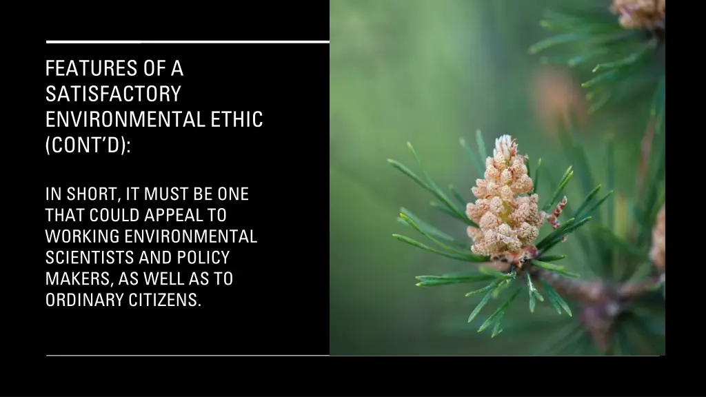 features of a satisfactory environmental ethic