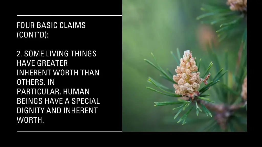 four basic claims cont d 1