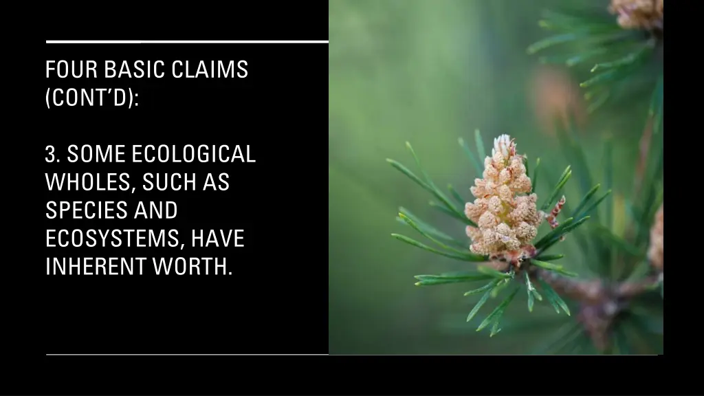 four basic claims cont d 2
