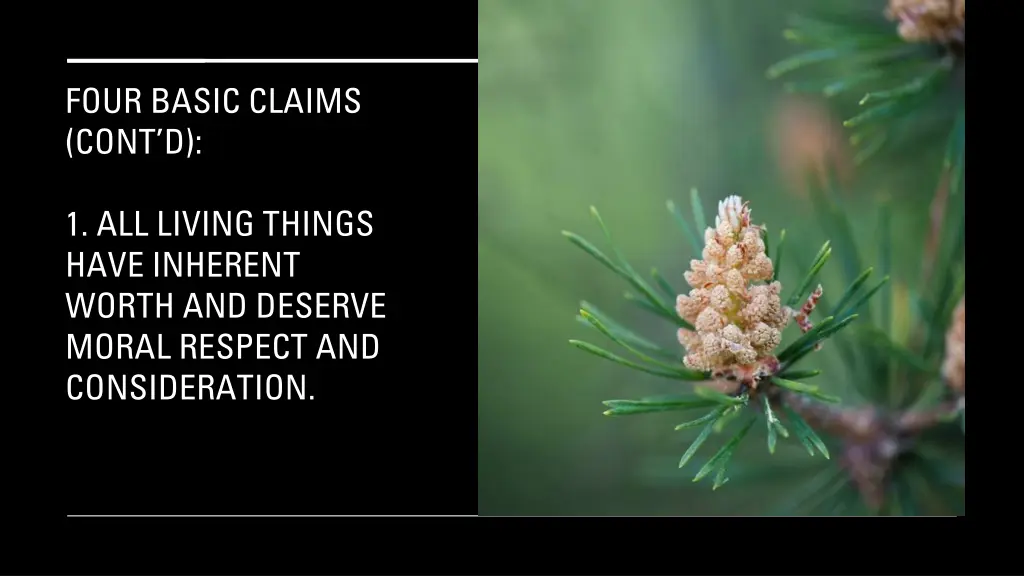 four basic claims cont d