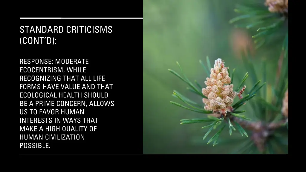 standard criticisms cont d 10