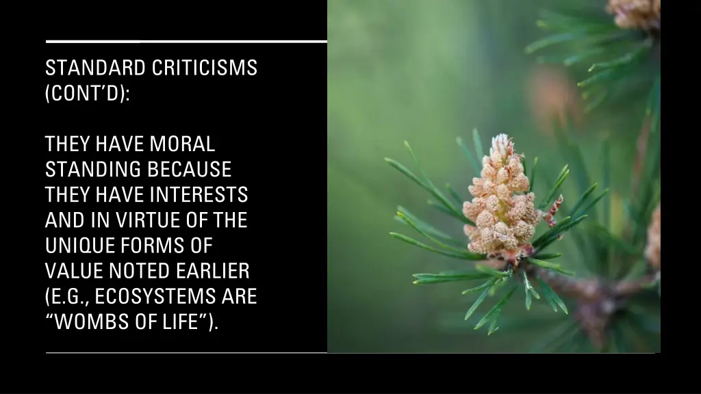 standard criticisms cont d 3