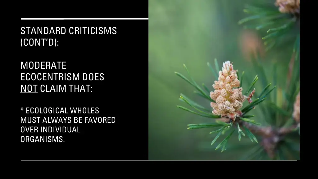 standard criticisms cont d 6