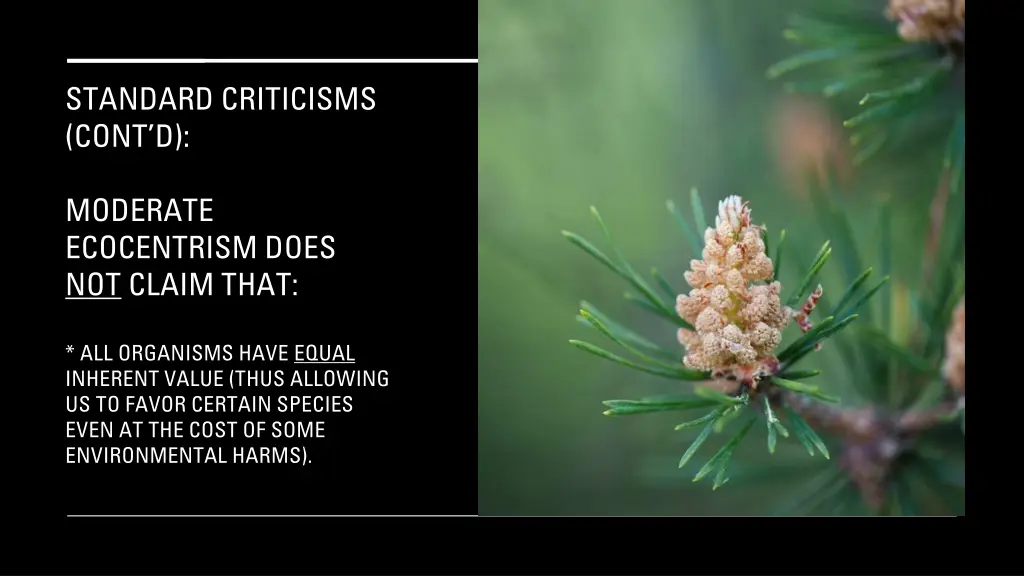 standard criticisms cont d 7