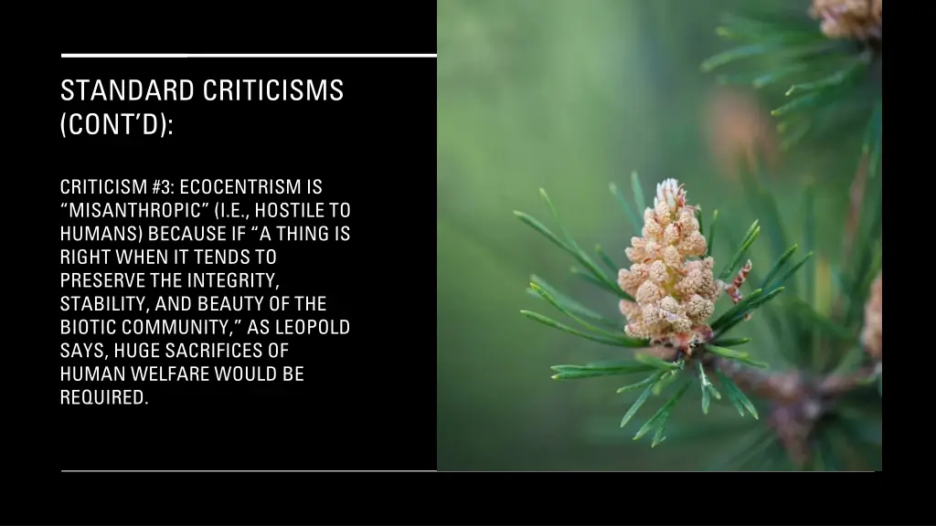 standard criticisms cont d 9